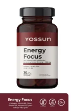 Yossun Energy Focus